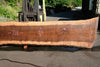 Oregon Black Walnut Slab 062423-07