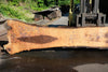 Oregon Black Walnut Slab 062423-09