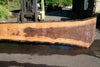 Oregon Black Walnut Slab 062423-09