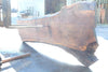 Oregon Black Walnut Slab 063023-01
