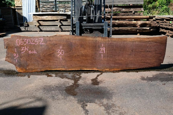Oregon Black Walnut Slab 063023-02