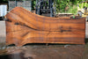 Oregon Black Walnut Slab 063023-03