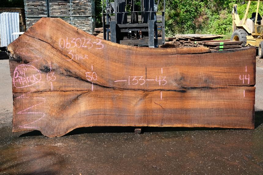 Oregon Black Walnut Slab 063023-03