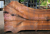 Oregon Black Walnut Slab 063023-03