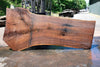 Oregon Black Walnut Slab 063023-06