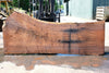 Oregon Black Walnut Slab 063023-08