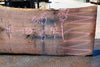 Oregon Black Walnut Slab 063023-08