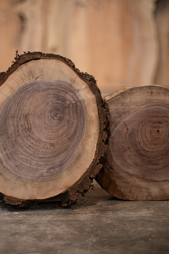 Oregon Black Walnut Round Pack Medium Large (2)