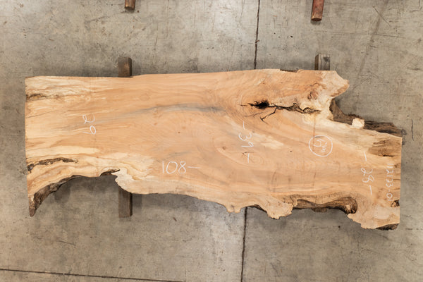 Big Leaf Maple 112123-01