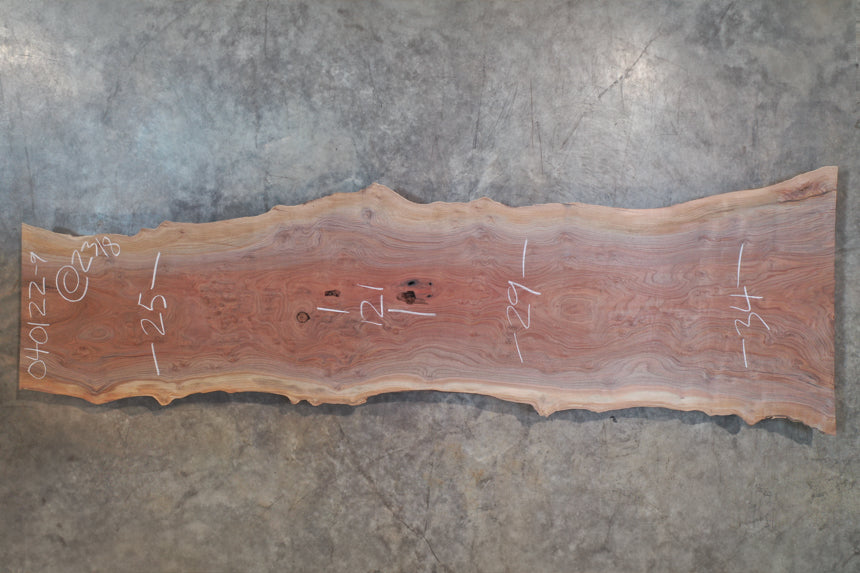 Oregon Black Walnut Slab 040122-09