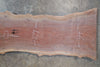 Oregon Black Walnut Slab 040122-09