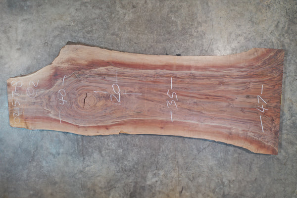 Oregon Black Walnut Slab 021517-08