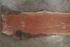 Oregon Black Walnut Slab 103117-3