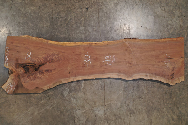 Oregon Black Walnut Slab 032322-3