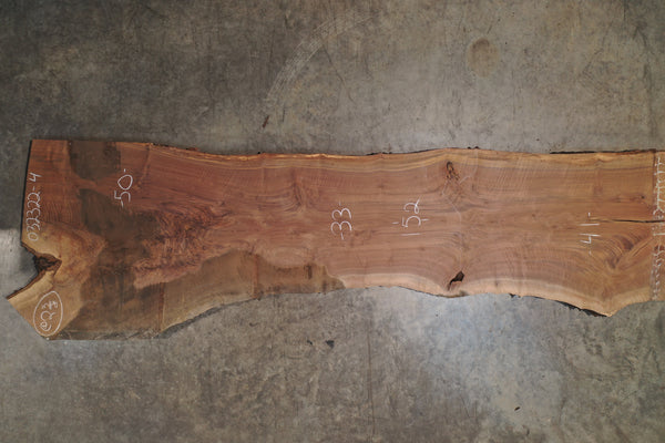 Oregon Black Walnut Slab 032322-4
