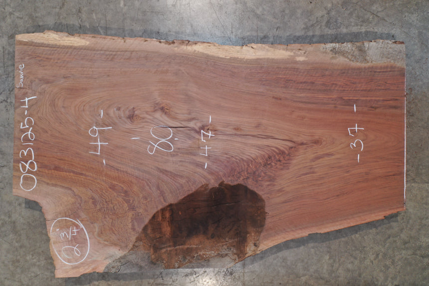 Oregon Black Walnut Slab 083125-04 Sauvie