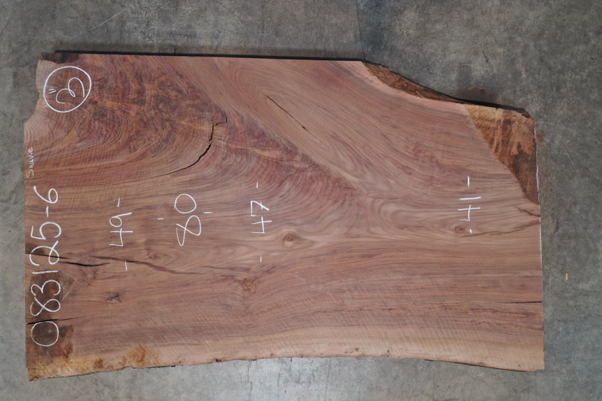 Oregon Black Walnut Slab 083125-06 Sauvie