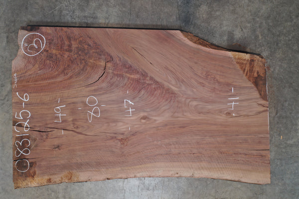 Oregon Black Walnut Slab 083125-06 Sauvie