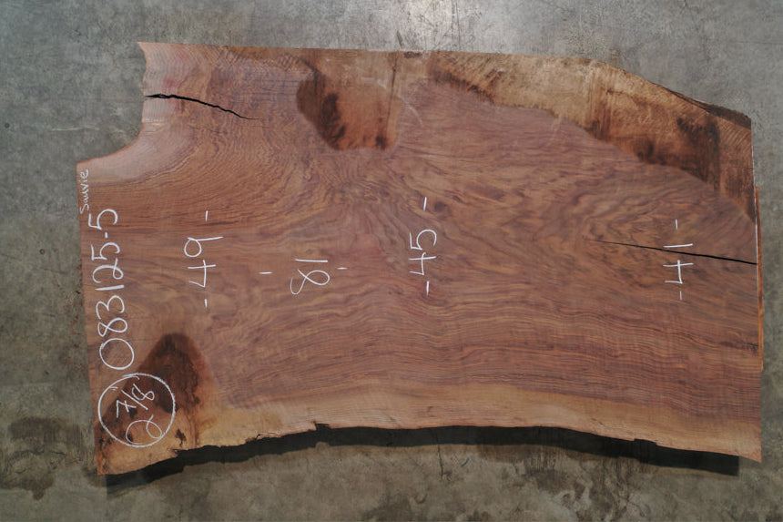 Oregon Black Walnut Slab 083125-05 Sauvie