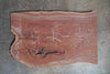 Oregon Black Walnut Slab 042025-18