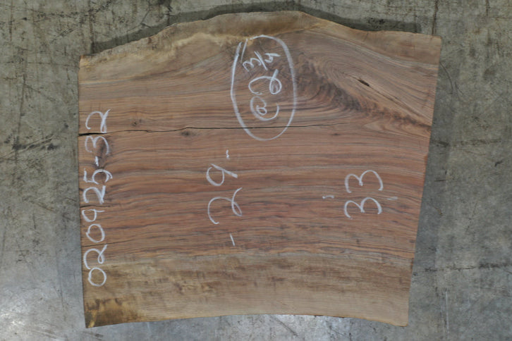 Oregon Black Walnut Slab 020925-32