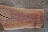 Oregon Black Walnut Slab 090725-02 Sauvie