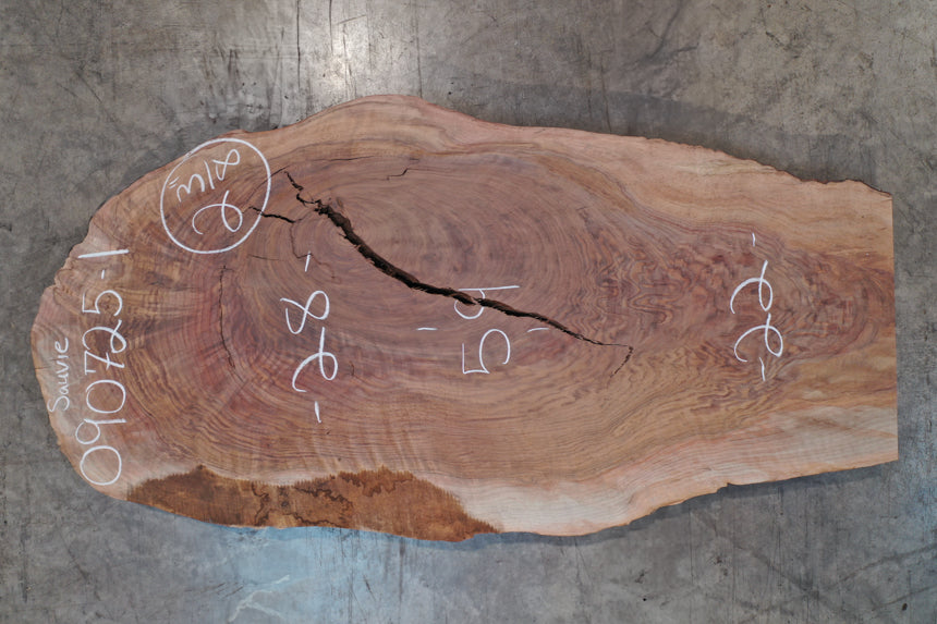 Oregon Black Walnut Slab 090725-01 Sauvie