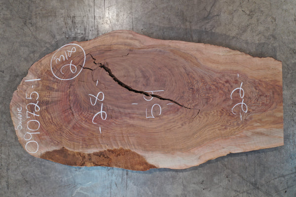 Oregon Black Walnut Slab 090725-01 Sauvie