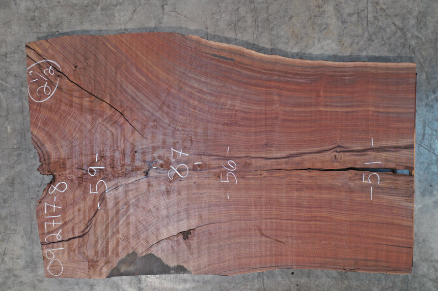 Oregon Black Walnut Slab 092717-08