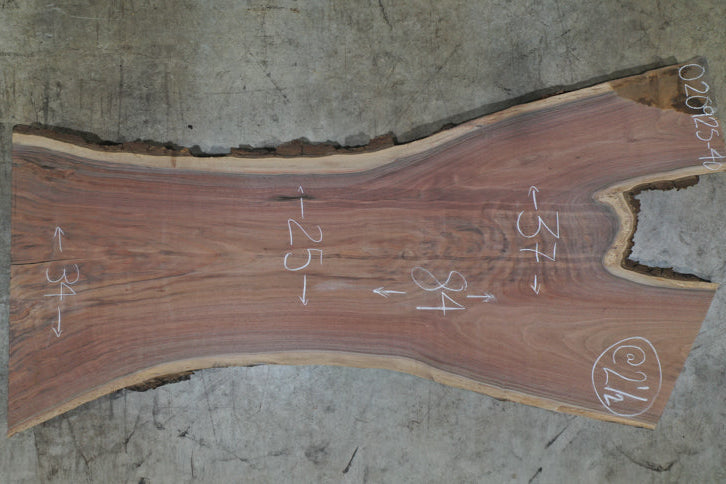 Oregon Black Walnut Slab 020925-40