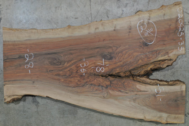 Oregon Black Walnut Slab 020925-35