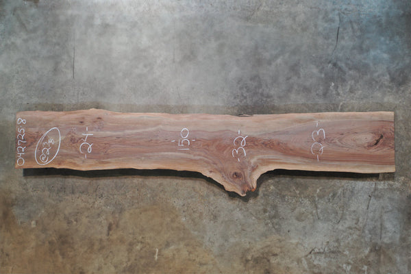 Oregon Black Walnut Slab 042725-08