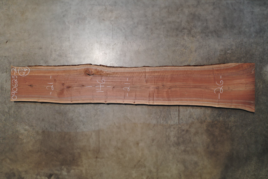 Oregon Black Walnut Slab 090625-02