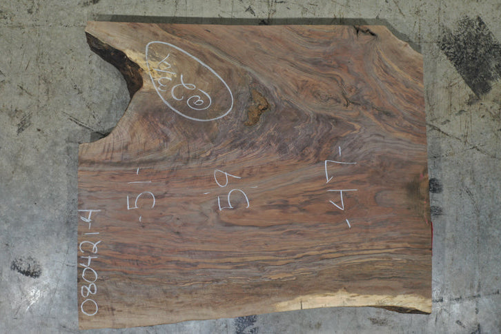 Bastogne Walnut Slab 080421-04
