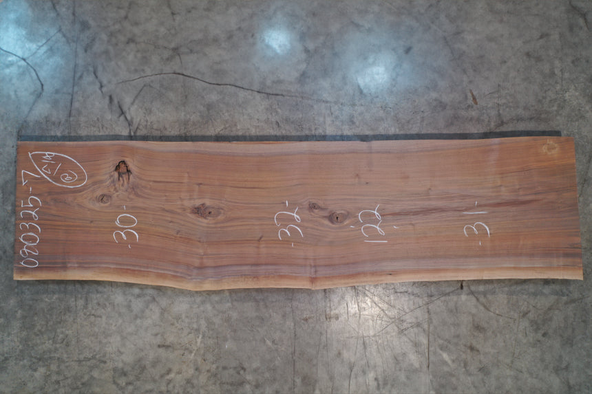 Oregon Black Walnut Slab 080325-07