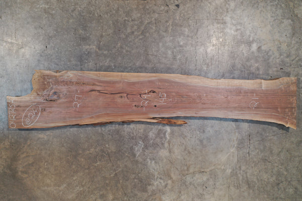 Oregon Black Walnut Slab 042725-27