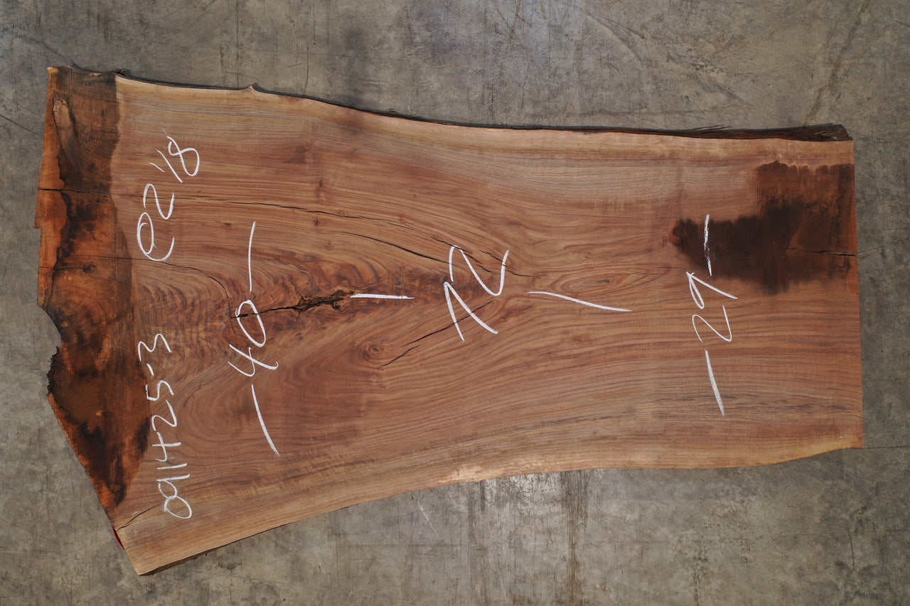 Oregon Black Walnut Slab 091425-03
