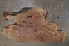 Oregon Black Walnut Slab 091425-10