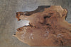 Oregon Black Walnut Slab 091425-10