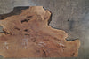 Oregon Black Walnut Slab 091425-10