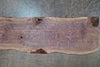 Oregon Black Walnut Slab 091325-01
