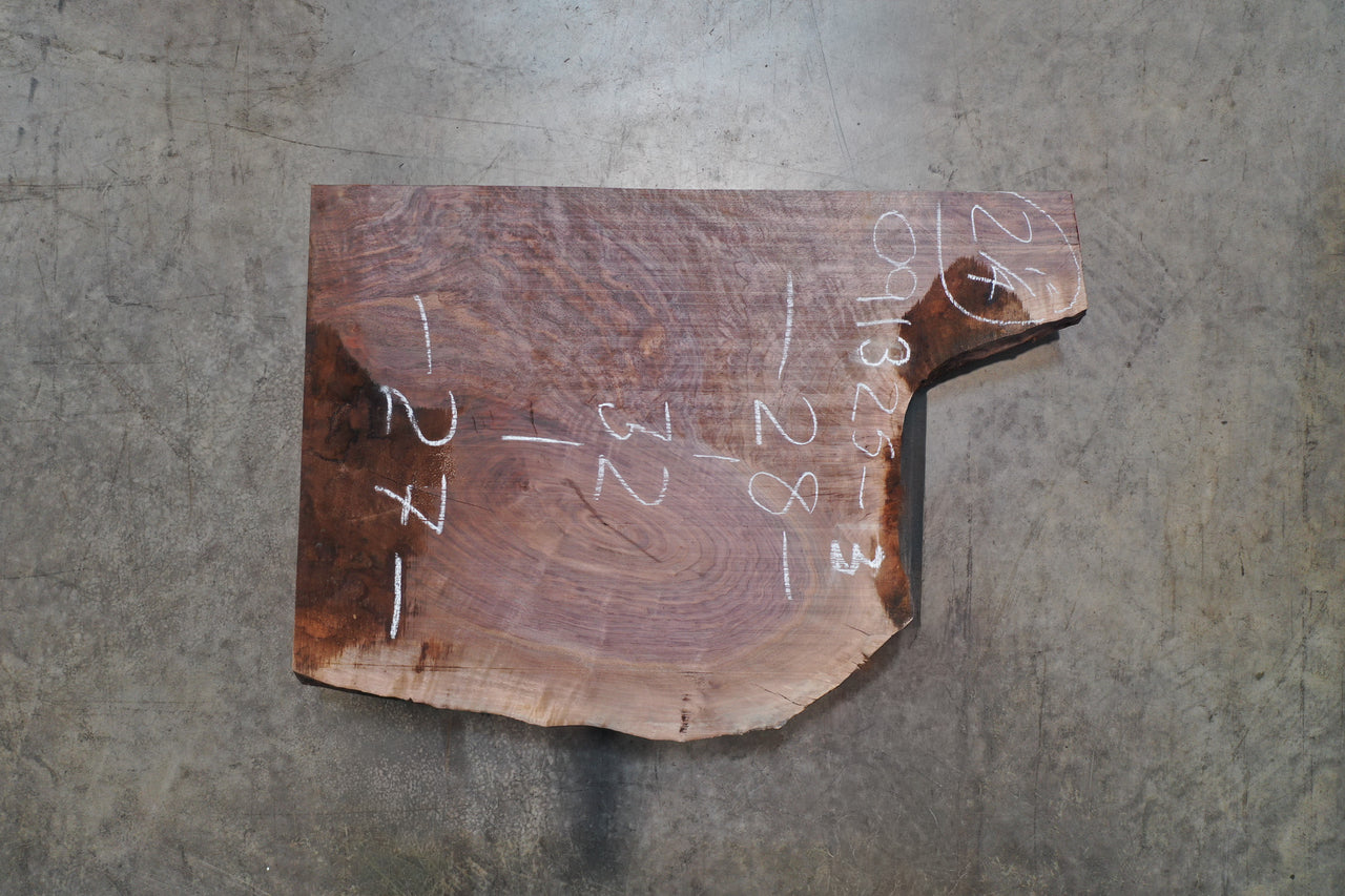 Oregon Black Walnut Slab 091325-03