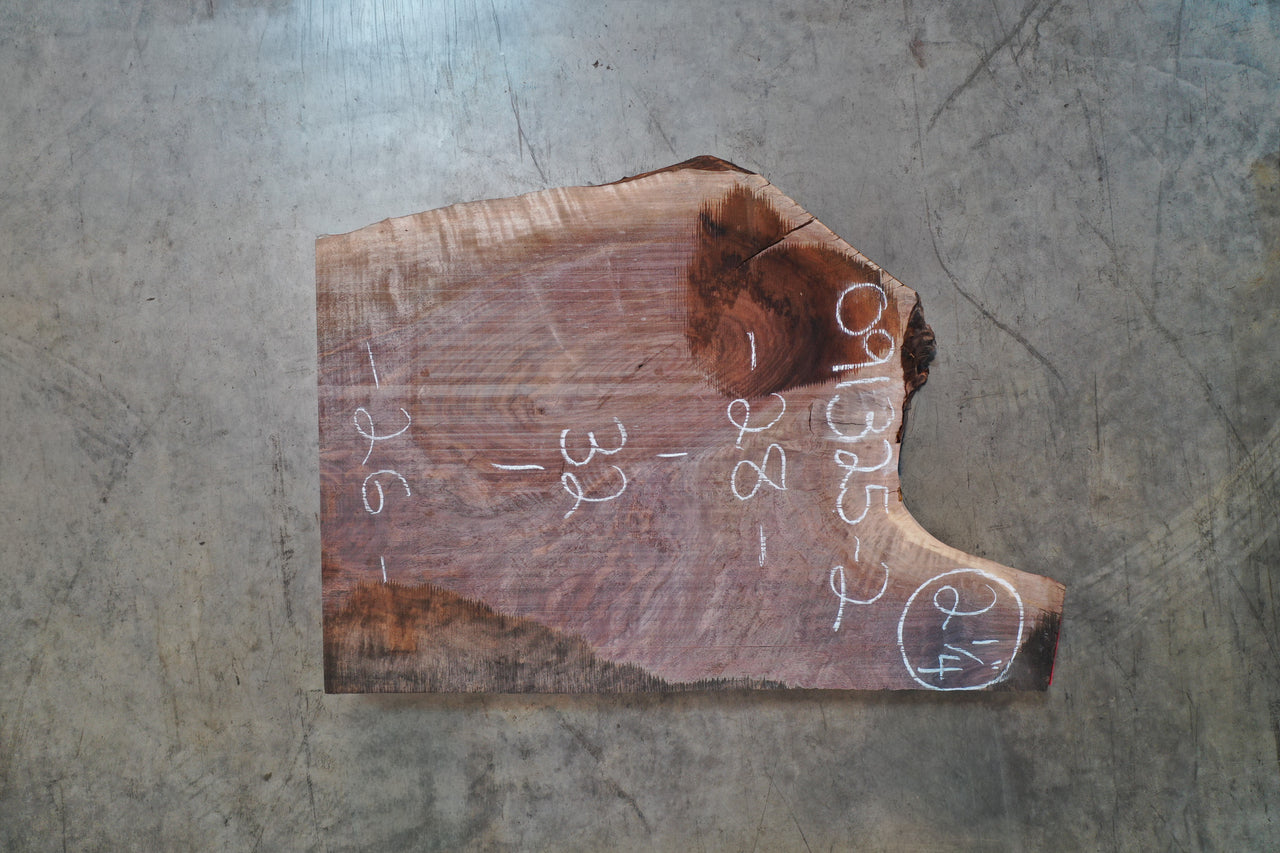 Oregon Black Walnut Slab 091325-02