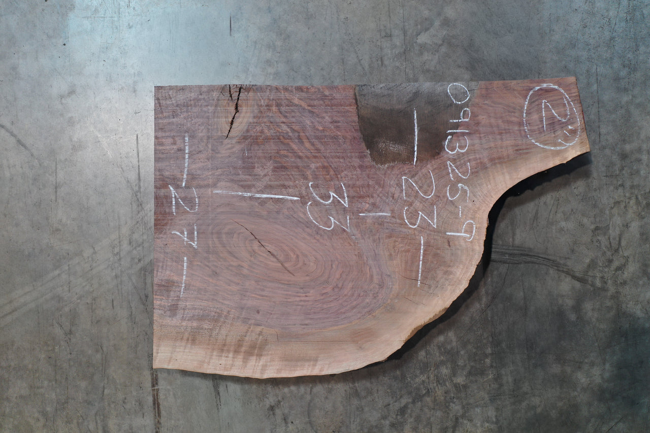 Oregon Black Walnut Slab 091325-09