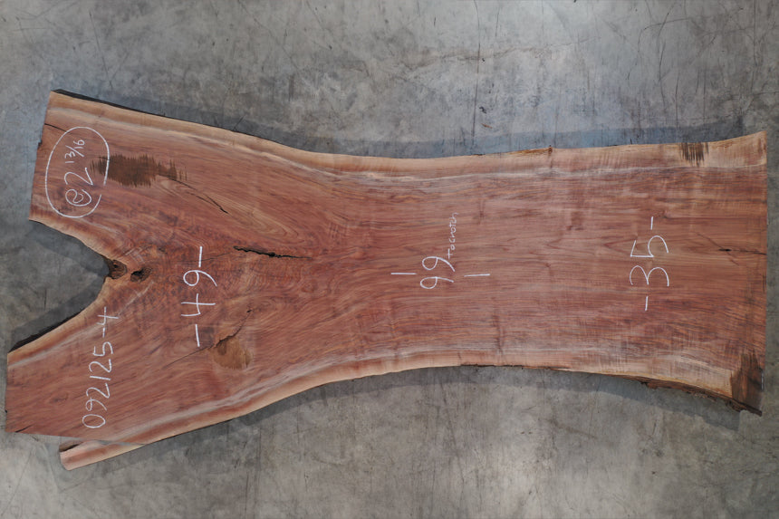 Oregon Black Walnut Slab 092125-04