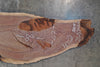 Oregon Black Walnut Slab 091425-12 Sauvie