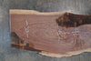 Oregon Black Walnut Slab 091425-13 Sauvie
