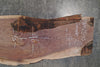 Oregon Black Walnut Slab 091425-13 Sauvie