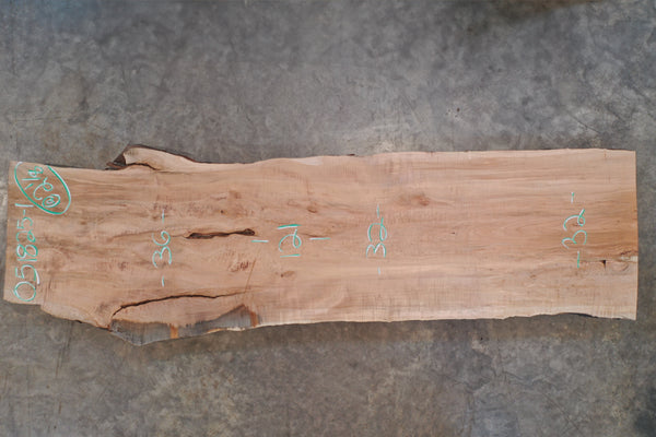 Big Leaf Maple Slab 051825-01