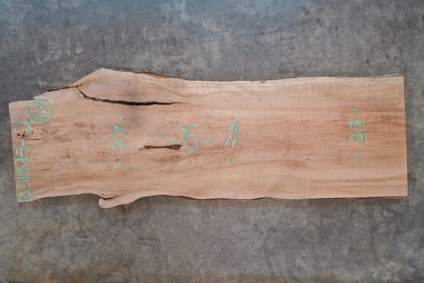 Big Leaf Maple Slab 051825-02